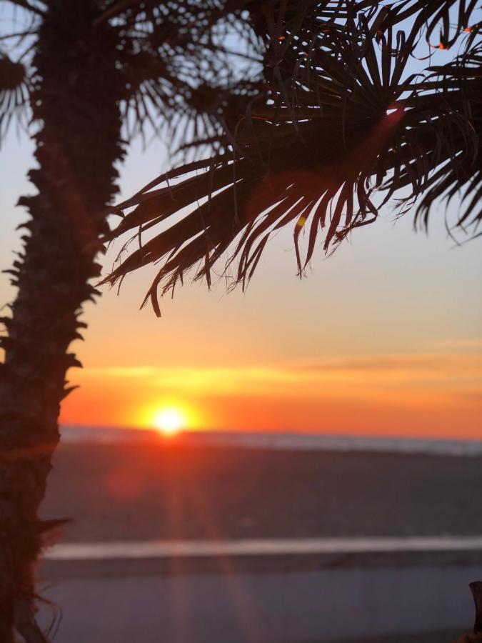 Riva Dei Fiori Lejlighed Viareggio Eksteriør billede